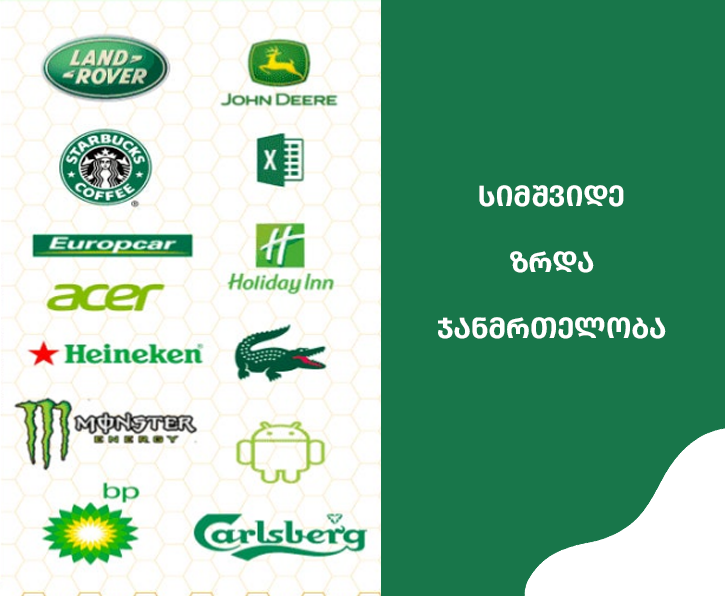 საიტი,საიტის დამზადება,მწვანე,ბრენდინგი,მობილური აპლიკაციის დამზადება,websaitis damzadeba,mobile app,branding,logo