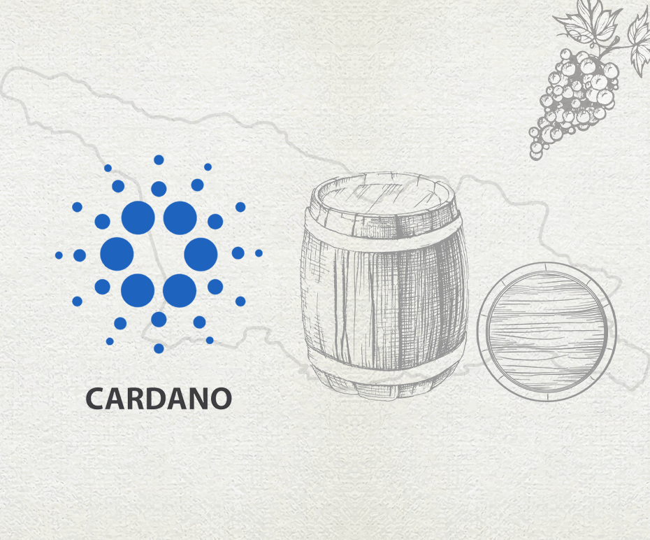 Cardano Blockchain ქართული ღვინის ხარისხის უზრუნველსაყოფად